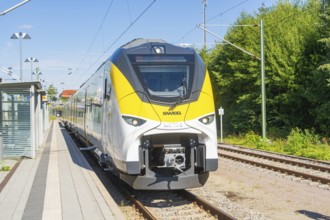Frontal view of a train on the track next to the platform and green nature, battery Electric train