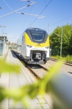 Modern white and yellow train against a green background, photographed from a distance, battery