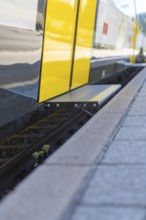 Close-up of a yellow train at a platform edge with track in the foreground, battery Electric train