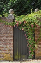An old Tor tor in a brick wall, surrounded by blooming climbing roses and green vegetation, North