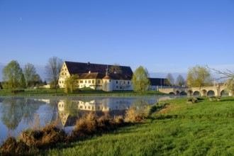 Morning atmosphere, fog at the Fischhof, Fischhofpark, Tirschenreuth, Upper Palatinate, Bavaria,