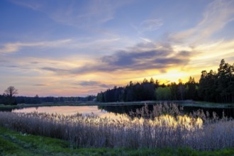 Sunset at the Tirschenreuther ponds, Große Teichpfanne, near Tirschenreuth, Upper Palatinate,