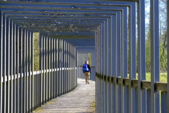 Heusterzbrücke, Waldnaabaue, Große Teichpfanne, Vizinalradweg, near Tirschenreuth, Upper