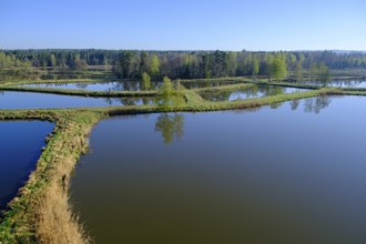 Tirschenreuther Teiche, Waldnaabaue, Große Teichpfanne, Vizinalradweg, near Tirschenreuth, Upper
