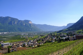 View over Tramin, South Tyrolean Wine Road, South Tyrol, Italy