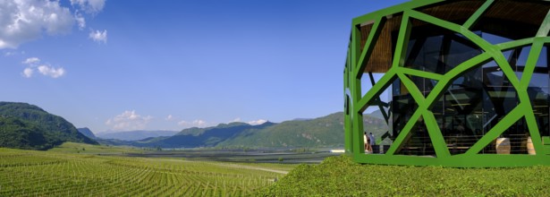 Tramin Winery, Tramin, Wine Route, South Tyrol, Italy