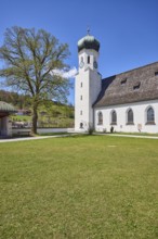Parish church Herz-Jesu Bischofswiesen, church, church tower, street, lawn, hill, forest, tree,