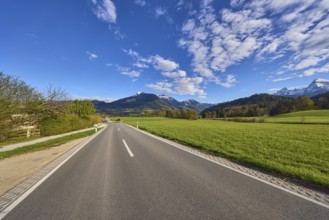 Road, centre line, meadow, landscape, mountain landscape, mountains, hills, trees, forest, blue