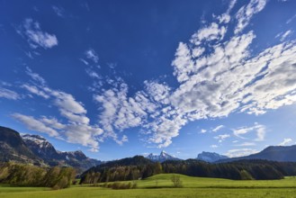 Weather, clouds, sky, landscape, mountains, meadow, coniferous forest, blue sky, cumulus clouds,