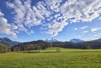 Landscape photography, mountain landscape, mountains, meadow, hill, coniferous forest, trees, blue