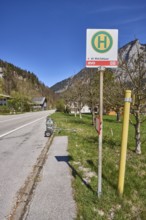 Bus stop Winkl Zollhäuser, road, mountain landscape, mountains, meadow, trees, coniferous forest,