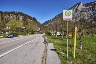 Bus stop Winkl Zollhäuser, road, mountain landscape, mountains, meadow, trees, coniferous forest,