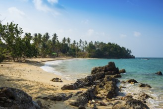Sandy beach beach and coconut palms, Beautiful Beach, Sala Dan, Ko Lanta, Koh Lanta, Krabi