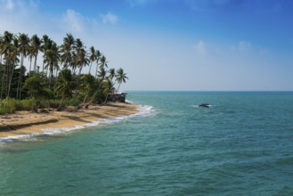 Sandy beach beach and coconut palms, Coconut Palm Beach, Sala Dan, Ko Lanta, Koh Lanta, Krabi