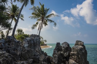 Rocks and coconut palms, Coconut Palm Beach, Sala Dan, Ko Lanta, Koh Lanta, Krabi Province,