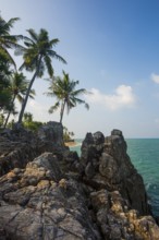 Rocks and coconut palms, Coconut Palm Beach, Sala Dan, Ko Lanta, Koh Lanta, Krabi Province,