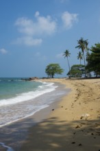 Sandy beach beach and coconut palms, Secret Beach, Sala Dan, Ko Lanta, Koh Lanta, Krabi Province,