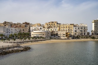 Old town and city beach Spiaggia di San Lorenzo in Vieste, Gargano, Apulia, Italy