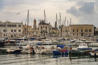 The harbour in Trani, Apulia, Italy