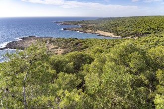Landscape on the coast of the Porto Selvaggio nature reserve, Santa Caterina, Nardo, Apulia, Italy