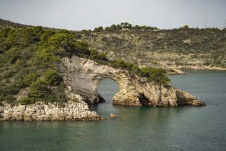 Arco di San Felice rock formation near Vieste, Gargano, Apulia, Italy