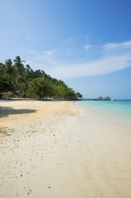 White sandy beach and coconut palms, Sunrise Beach, Koh Great white shark, Ko Ngai, Krabi Province,