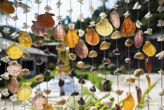 Curtain of shells, Sunrise Beach, Koh Hai, Ko Ngai, Krabi Province, Trang, Southern Thailand,