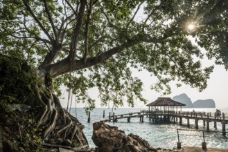 Jetty, Sunrise Beach, Koh Hai, Ko Ngai, Krabi Province, Trang, Southern Thailand, Andaman Sea,