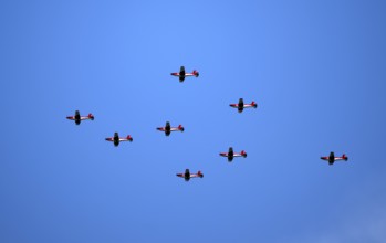 Formation flight of the Swiss Air Force Squadron Pilatus PC-7 TEAM, Grosswangen, Canton Lucerne,