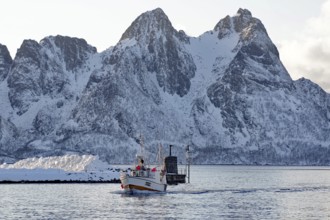 A fishing boat returns through the sea to a snow-covered harbour, Myre, Vesteralen, Nordland,