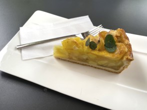 Piece of apple pie, cake fork, plate, napkin, food, Canton Schwyz, Switzerland