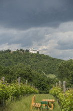Bench and table in the vineyard of the Wailand winery behind Leopoldskirche, Vienna, Austria