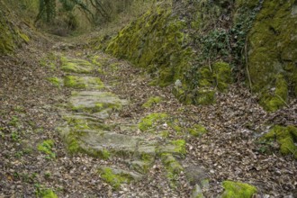 Römerstraße, Mautern an der Donau, Lower Austria, Austria