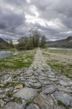 Treppelweg on the Danube island Pritzenau, Rührsdorf, Rossatz-Arnsdorf, Lower Austria, Austria