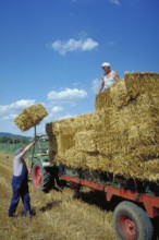Hay harvest, farmers loading hay bales onto a wagon, Franconia, Bavaria, Germany