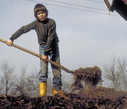 Boy, 10 years old, on a farm spreading cow dung on a dung heap, Franconia, Bavaria, Germany