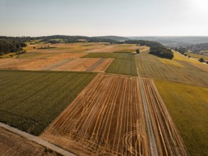 Wide fields with various crop strips under a clear sky, rural and peaceful, Gechingen, district of