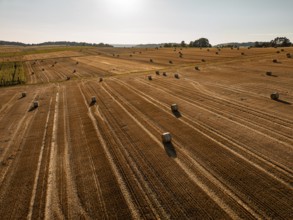 Landscape with widely scattered straw bales on fields under the sun, peaceful, Gechingen, district