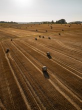 Panorama of fields with straw bales under the sun in a rural setting, Gechingen, district of Calw,
