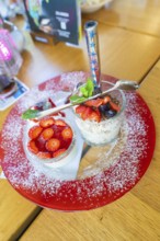 A dessert with fresh strawberries on a red plate in a restaurant, Lake Constance, Germany