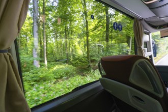 View from a bus window onto a green forest on a sunny day, Lake Constance, Germany