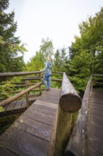 Person standing on a wooden viewing platform and looking over the forest, Lotharpfad, Black Forest,