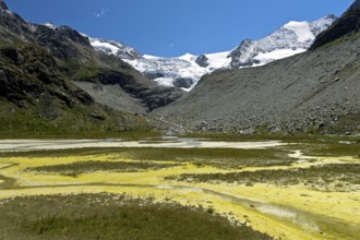 Algae bloom in the silting mountain lake Lac de Châteaupré in the glacier foreland of the Moiry