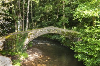 Gallo Roman Bridge, Valbeleix, Auvergne Volcanoes Natural Park, Puy de Dome department,