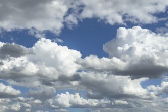 Many white altocumulus clouds cluster clouds under a bright blue sky can be seen through gaps in