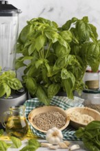 Basil next to a blender, with bowls full of pesto ingredients such as sunflower seeds, garlic and