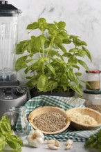 Basil next to a blender, with bowls full of pesto ingredients such as sunflower seeds and Parmesan