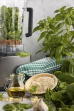 Blender with basil and sunflower seeds alongside other ingredients for pesto