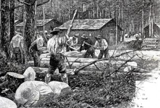 Woodworker in a forest destroyed by pests, here by the moth nun, Lymantria monacha, 1890,