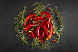 Red peppers, chilli peppers and herbs arranged on a dark background